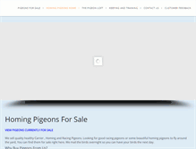 Tablet Screenshot of homingpigeonsforsale.com